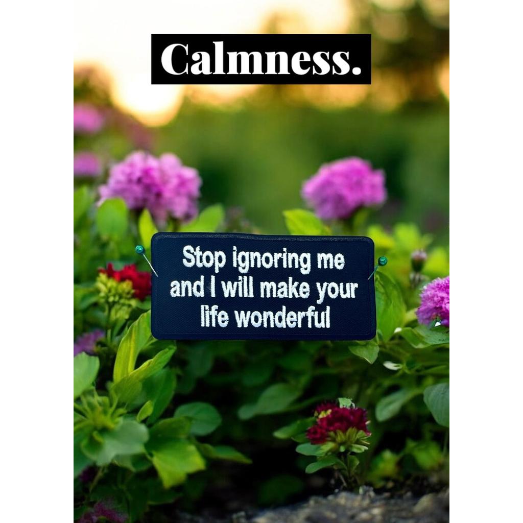 Stop ignoring me haalarimerkki - Hoopee.fi